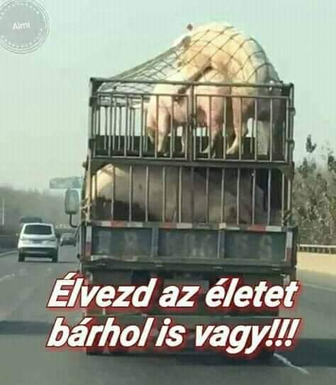 Élveztü<br /><br /><br />Élvezzük az életet